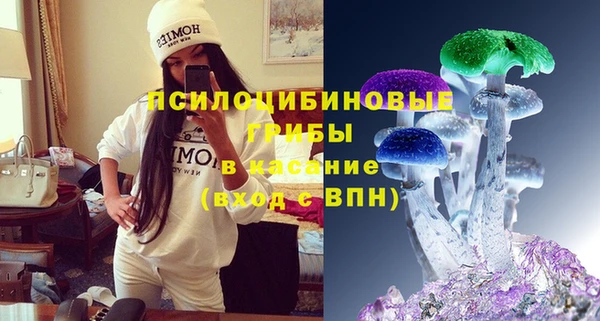 ГАЛЛЮЦИНОГЕННЫЕ ГРИБЫ Володарск