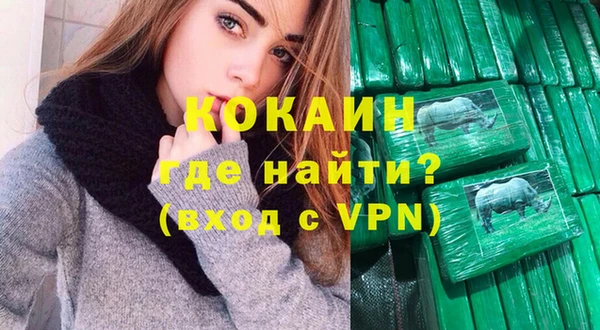 прущие грибы Бородино
