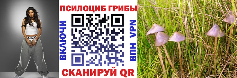 купить   Высоцк  Галлюциногенные грибы MAGIC MUSHROOMS 